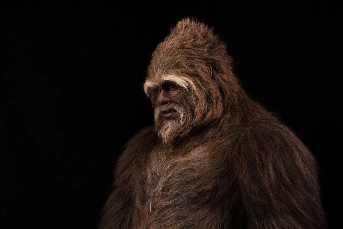 A Sasquatch suit built by Romaire Studios for a film production